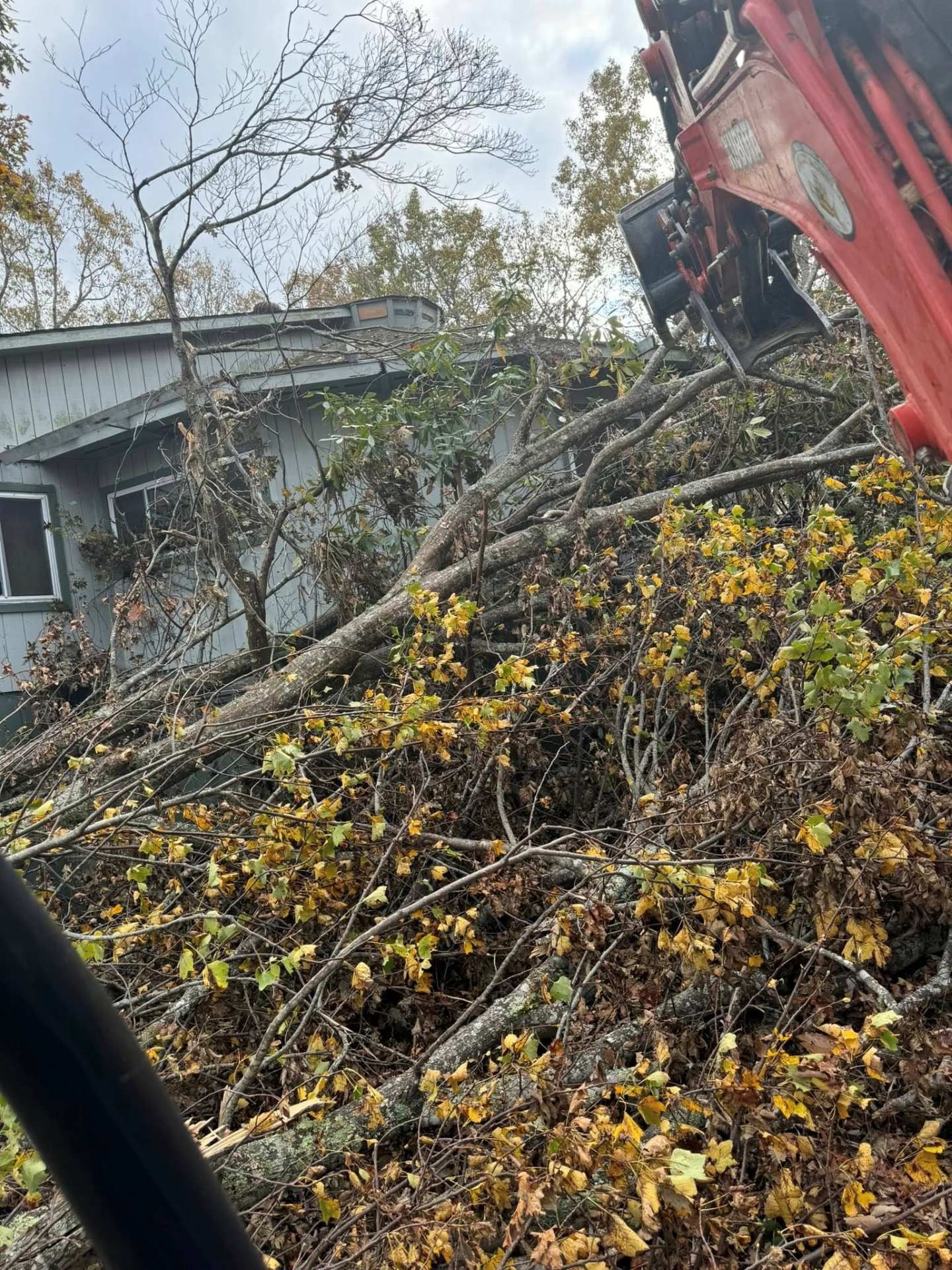 Woman in straw hat smiles, holding wine glass near a lake.
