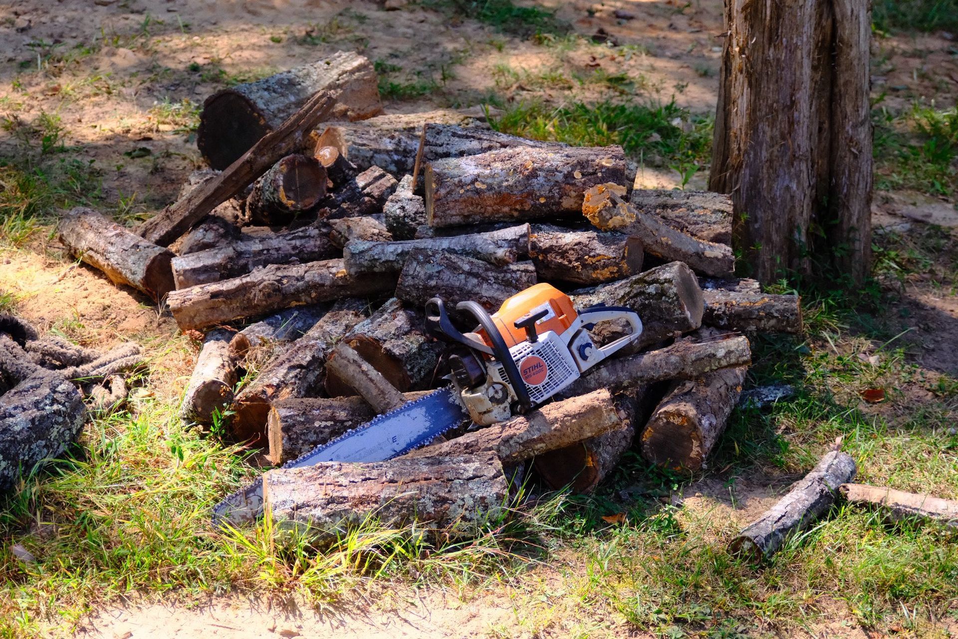 Woman in straw hat smiles, holding wine glass near a lake.