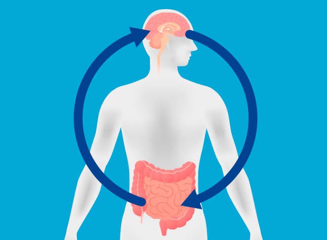 Estresse e Saude Intestinal