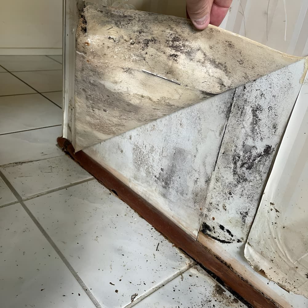 A Person is Peeling Off a Piece of Wallpaper From a Wall — Veramax Industries in Park Avenue, QLD