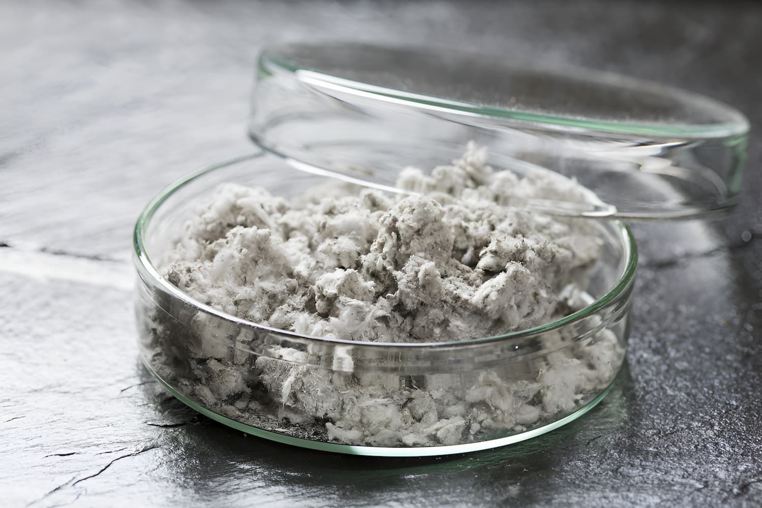 Asbestos is in a Petri Dish on a Table — Veramax Industries in Rockhampton, QLD