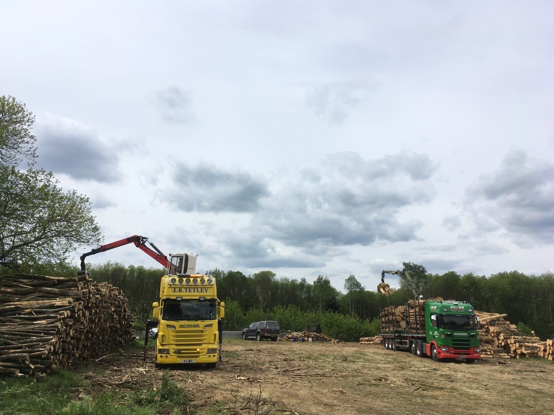 Timber uplift in progress