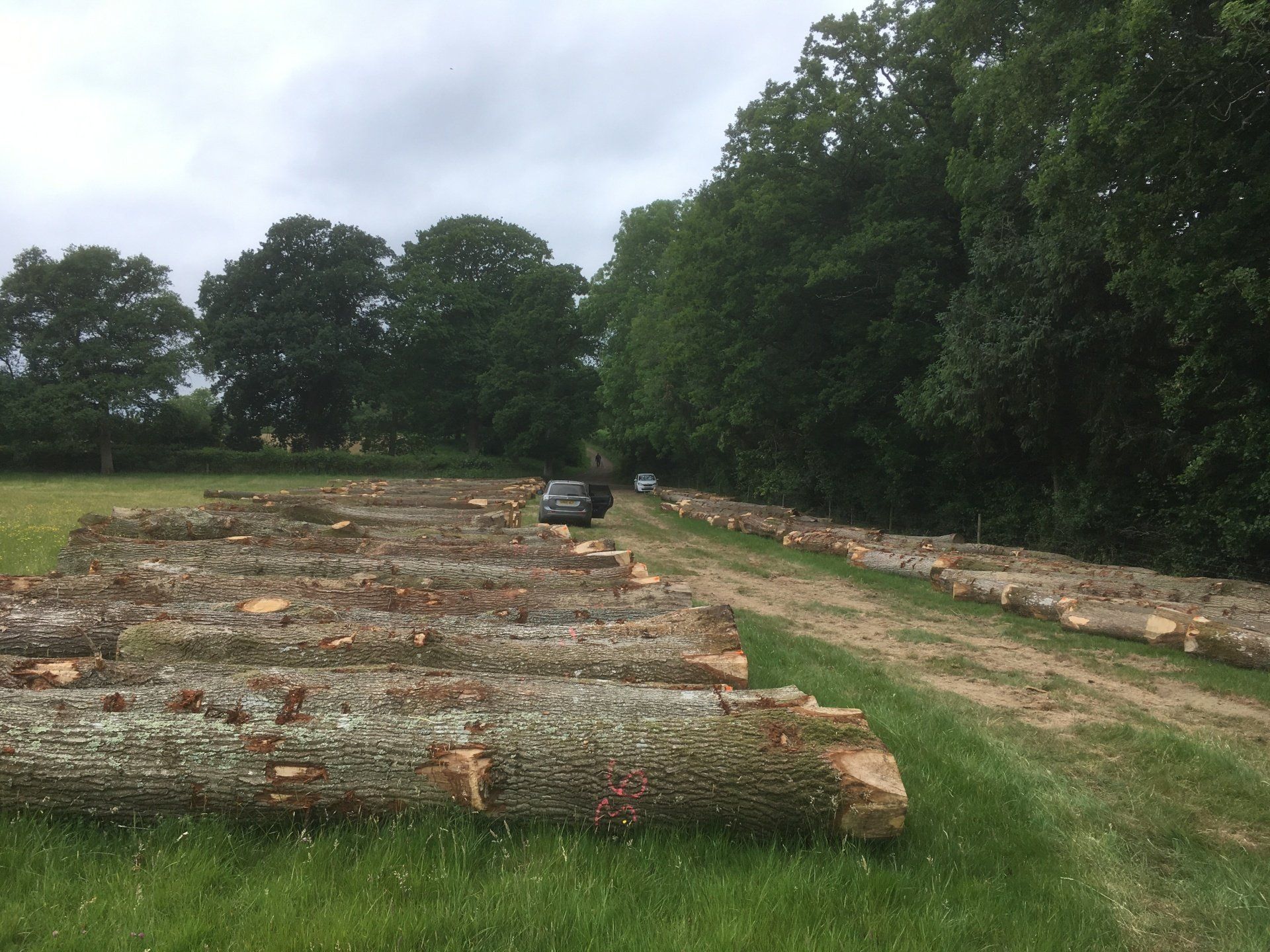 Oak parcel at roadside