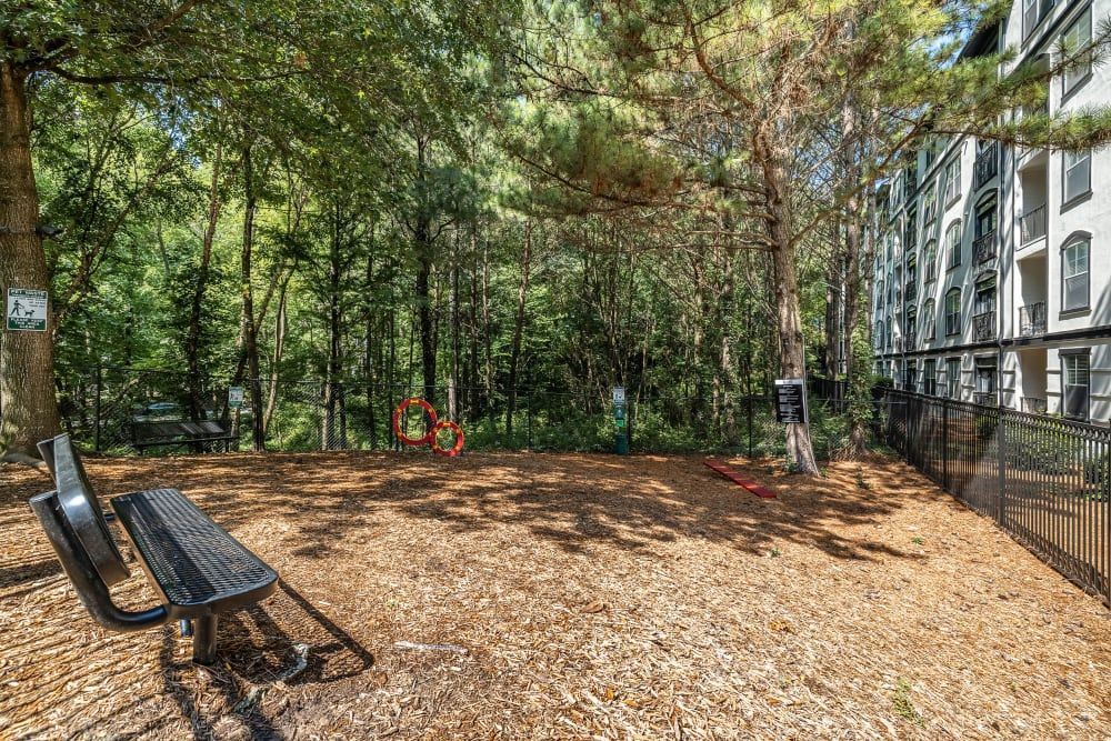 A serene dog park area covered with mulch and lined with trees, featuring a solitary metal bench, a dog agility hoop obstacle, a waste station with bags, and a fence separating the park from a multistory apartment building on a sunny day at Marq Perimeter in Atlanta, GA.
