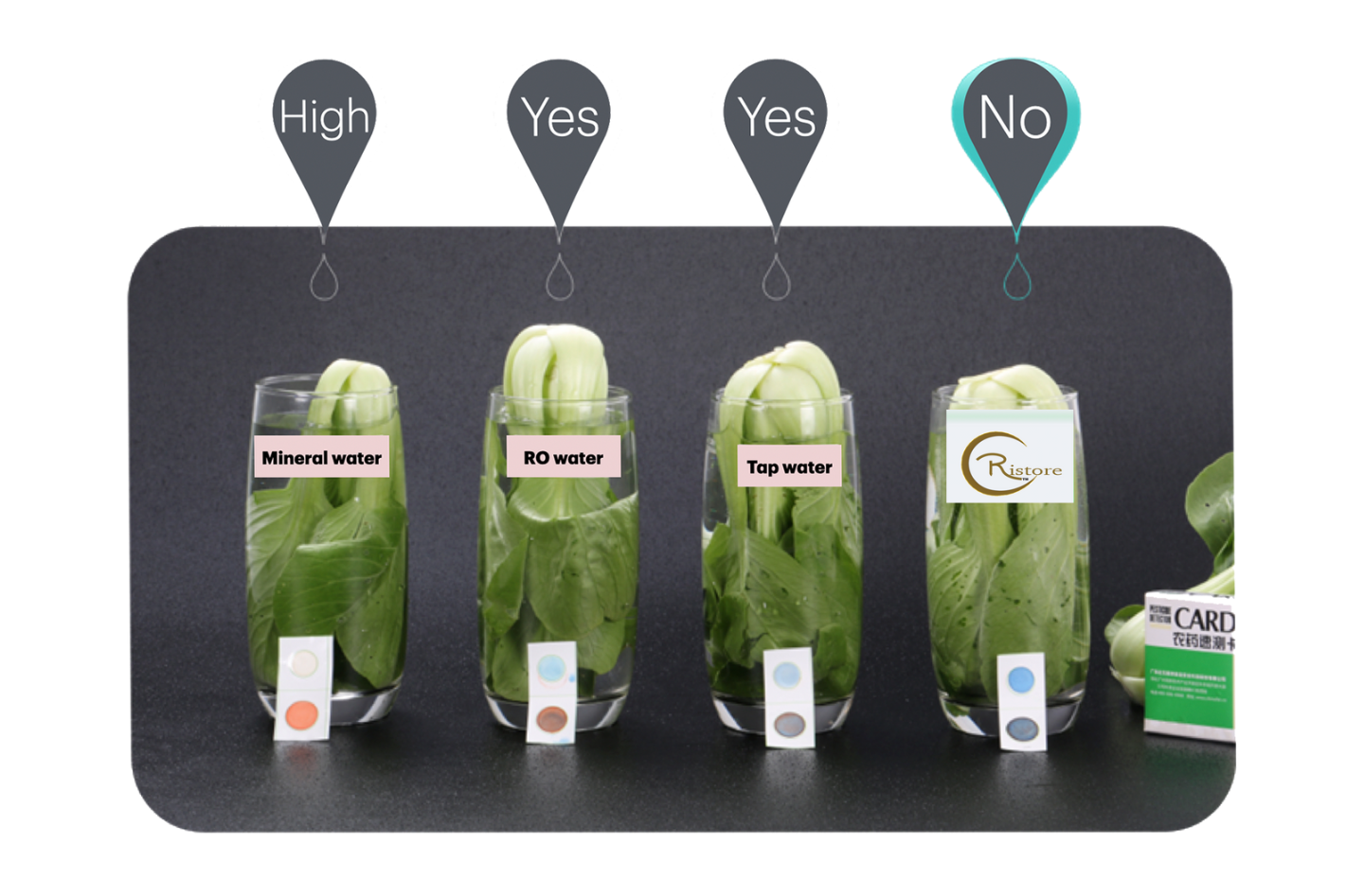 Four glasses with bok choy, labeled with results: high, yes, yes, and no.