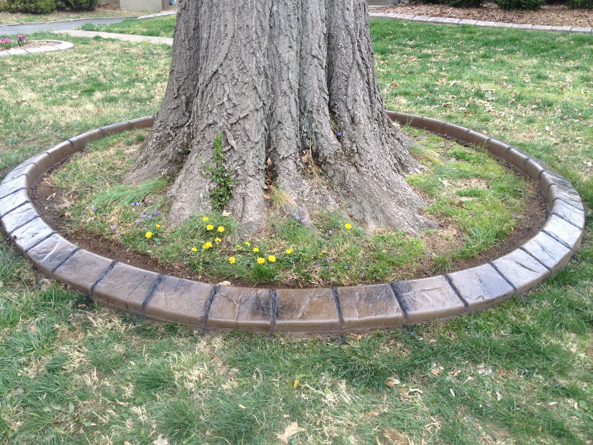 Landscape curbing in slate stone in louisville