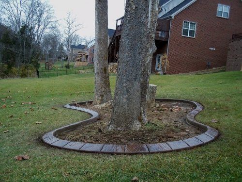 Landscape curbing around trees in slate stone
