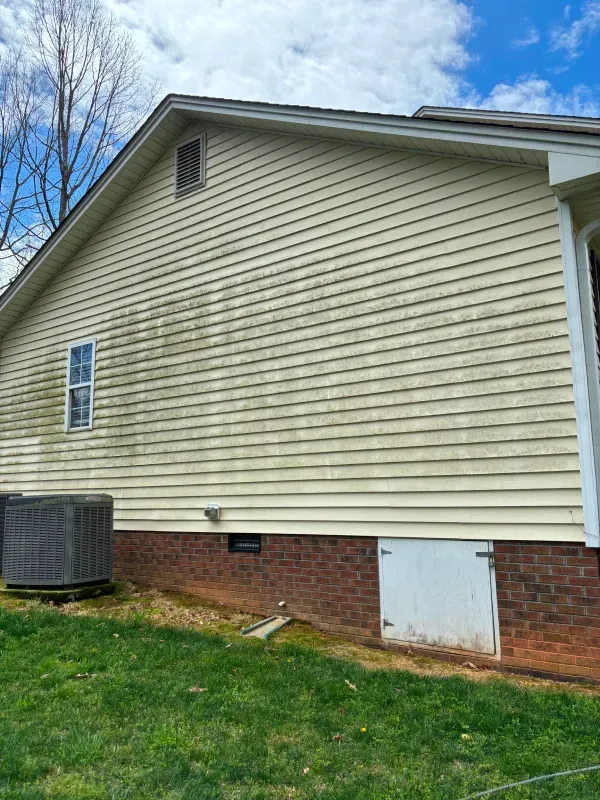 Side of a house with yellow siding and algae growth. Features a window, air conditioning unit, and brick foundation.