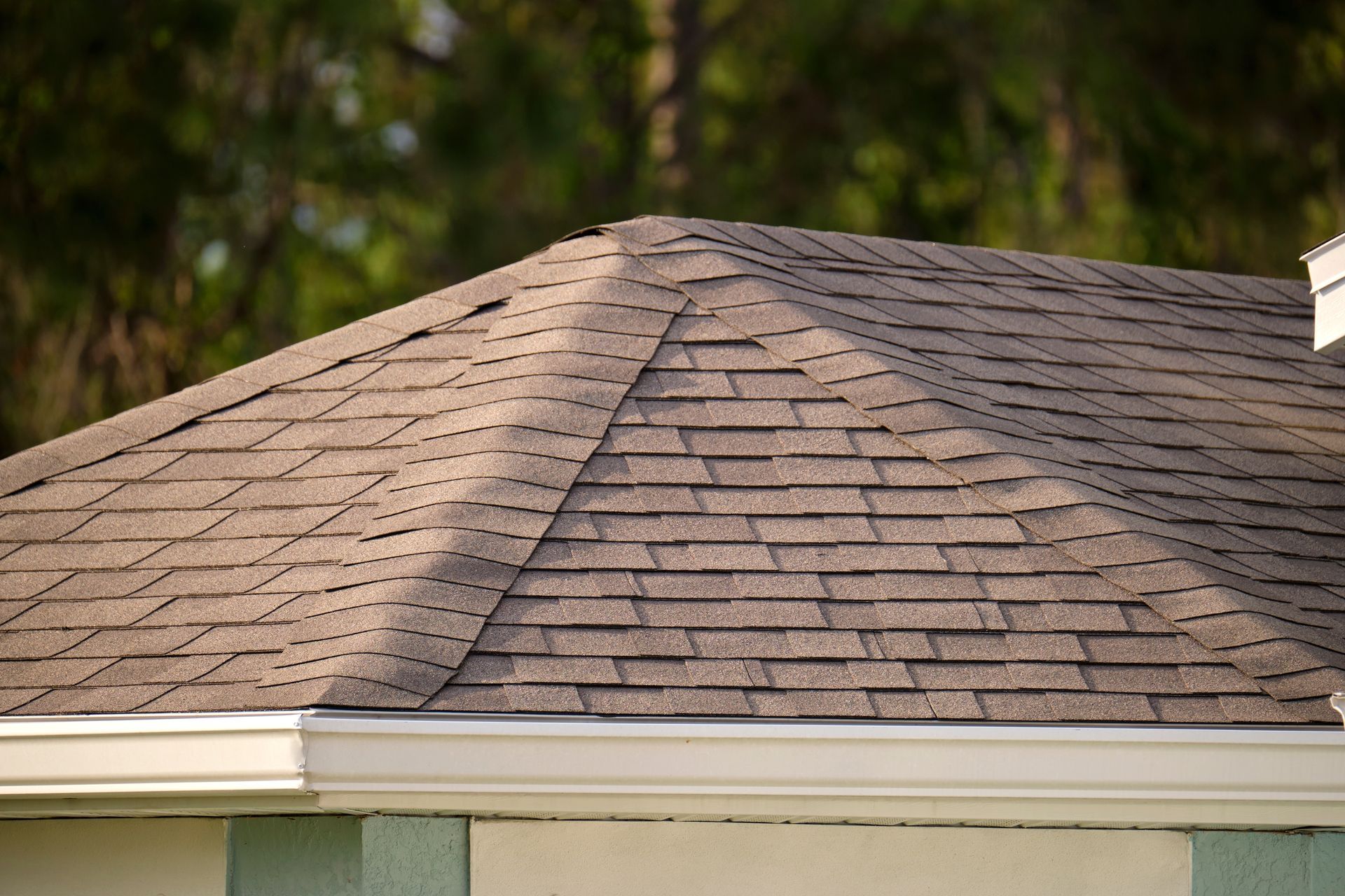Brown asphalt shingles cover the hip roof of a building with white gutters against a blurred green treeline background.