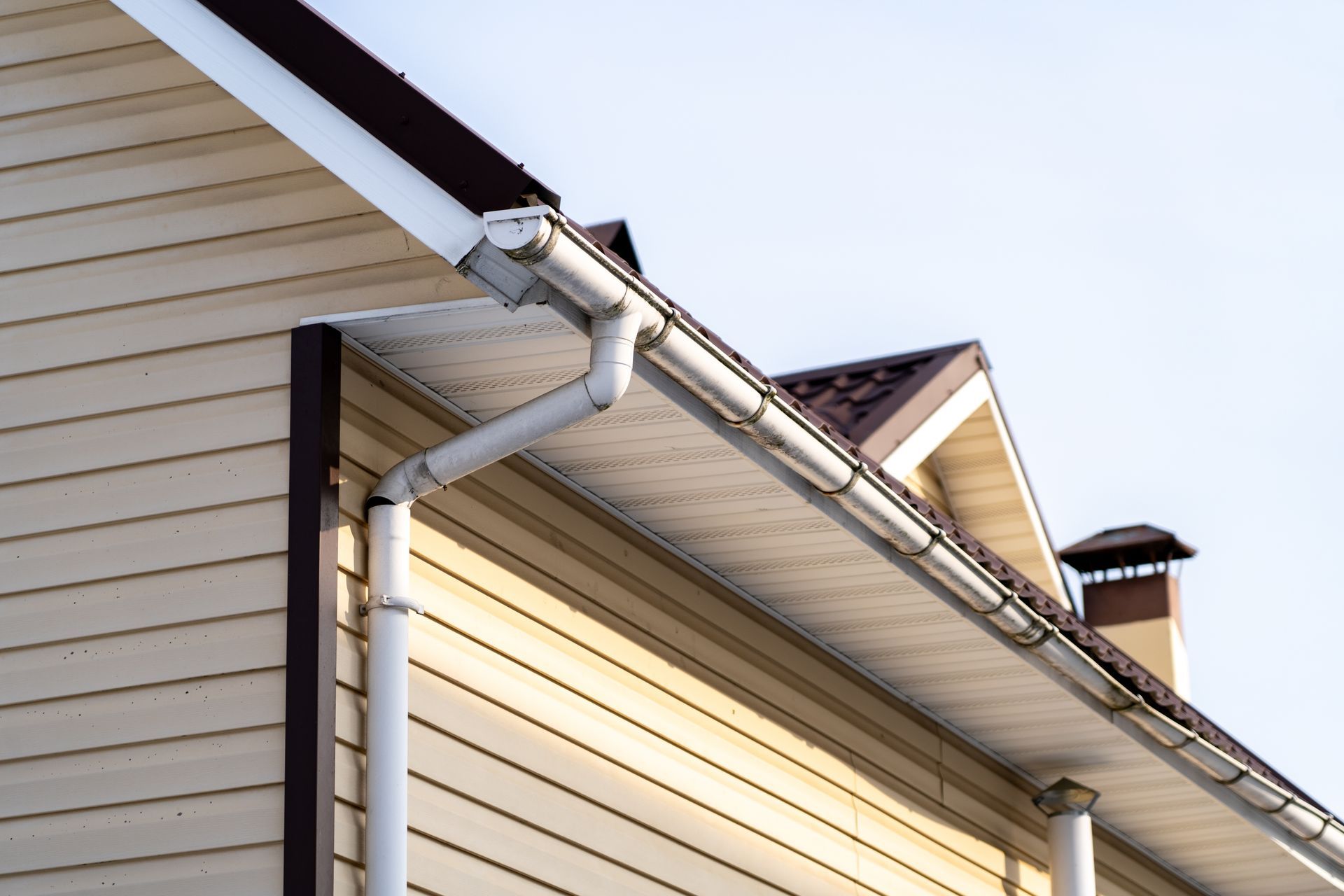 Beige siding on house with brown trim and white gutters and downspout.