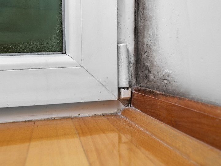 a corner of a room with a window and mould on the wall .