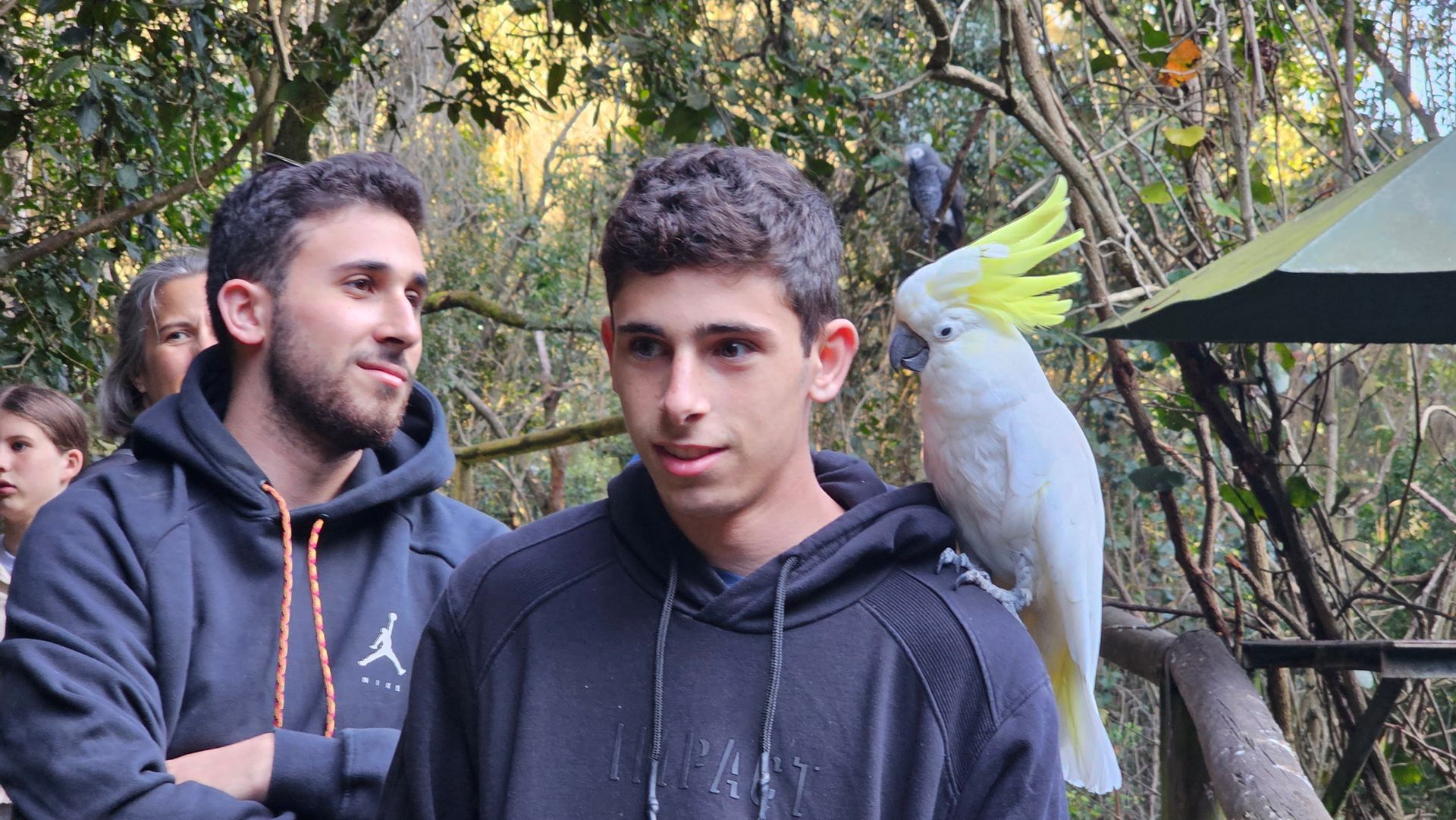 שני צעירים עומדים ליד קקדו על ענף עץ.