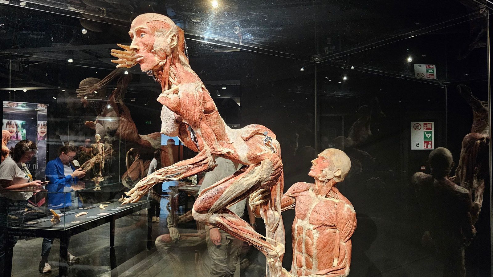 מוזיאון הגופות, אמסטרדם, הולנד