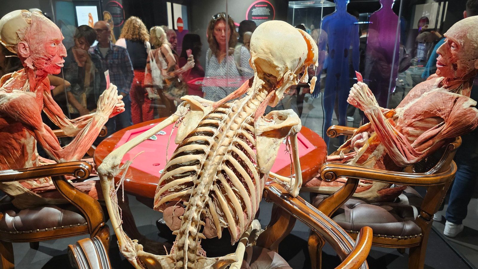 מוזיאון הגופות, אמסטרדם, הולנד