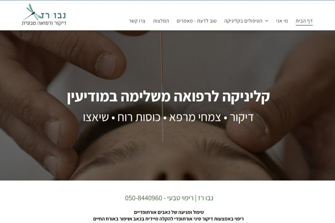 צילום מסך - בנית אתר אינטרנט תדמיתי / הקמת אתרים WEBWECAN