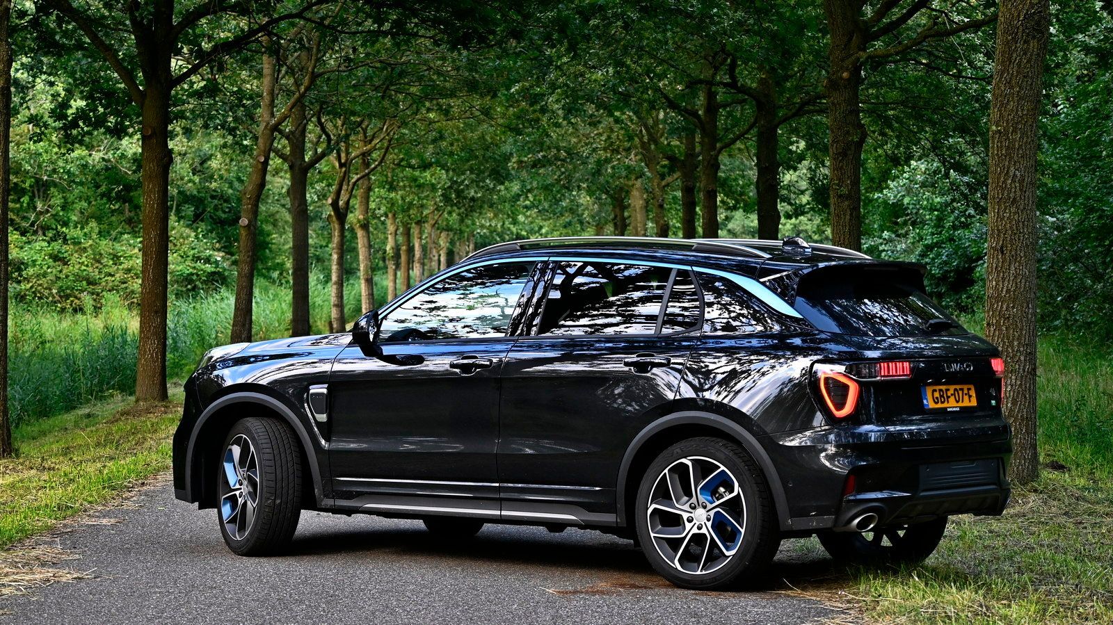 חוות דעת לינק אנד קו