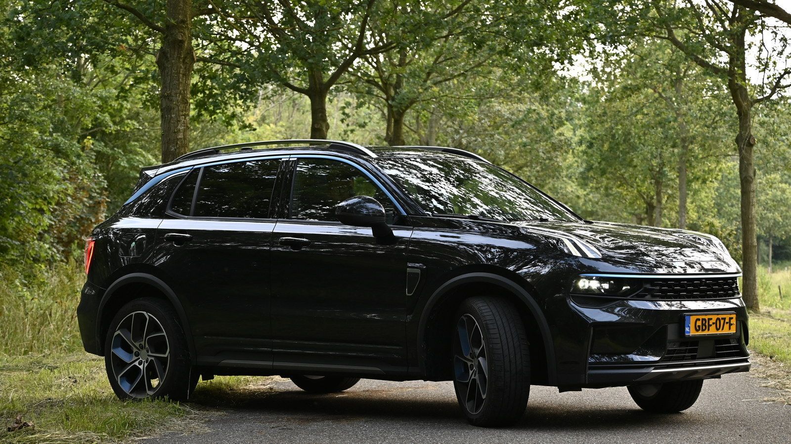 חוות דעת לינק אנד קו