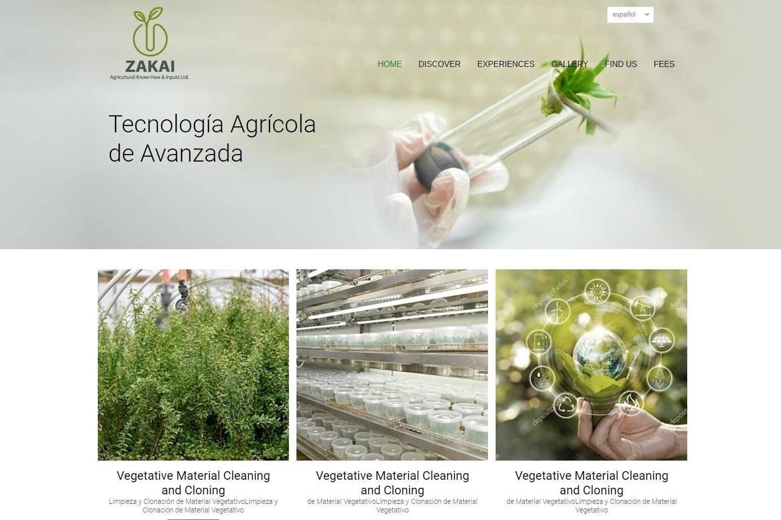 צילום מסך של אתר אינטרנט המראה אדם מחזיק צמח עם מקלות אכילה.