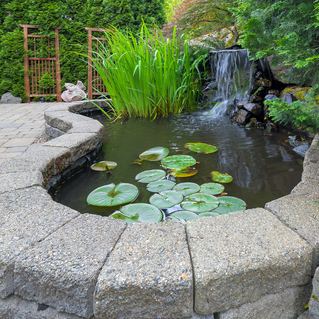 A pond with water lilies and a waterfall in the background