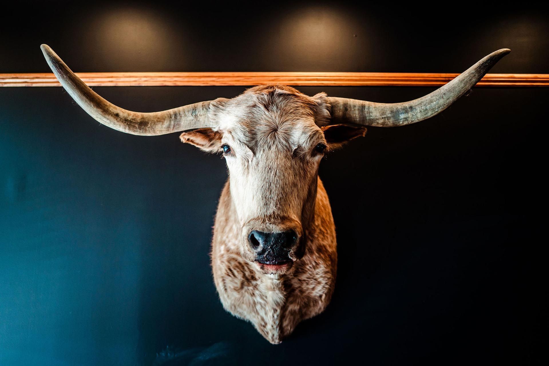 The Grand Hotel Big Timber decor