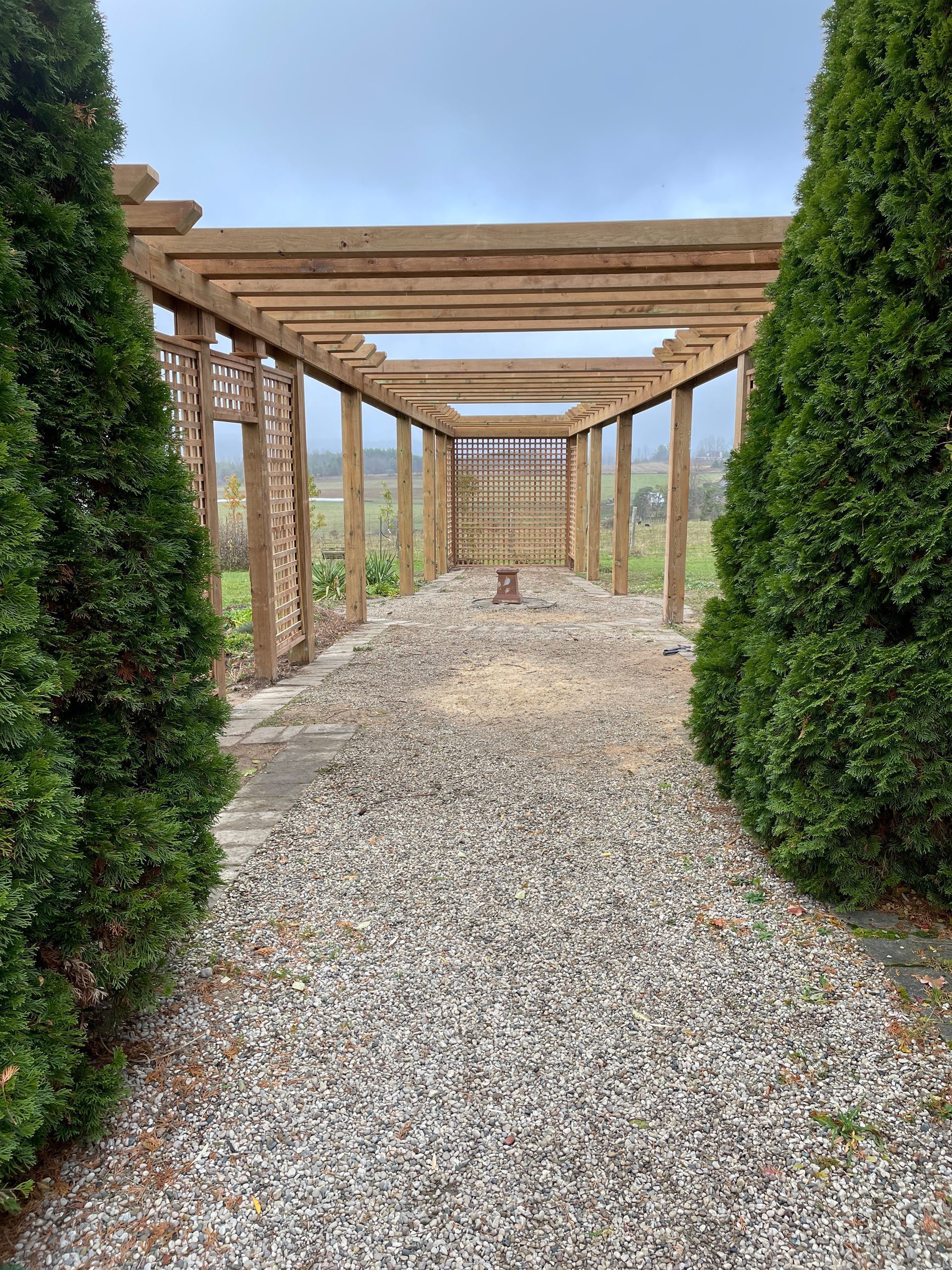 trellis with plants