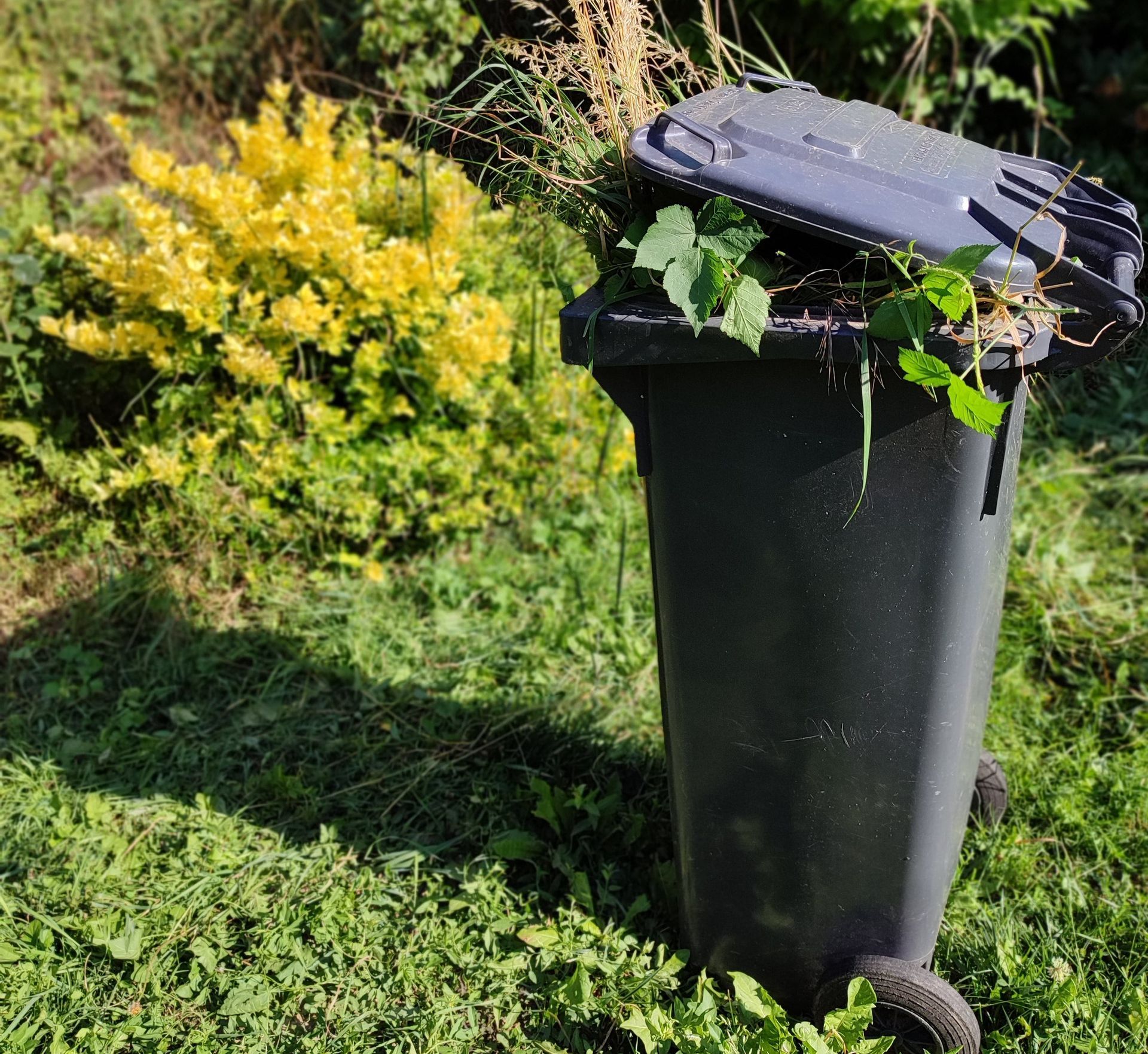 a black trash can is sitting in the grass with the lid open .