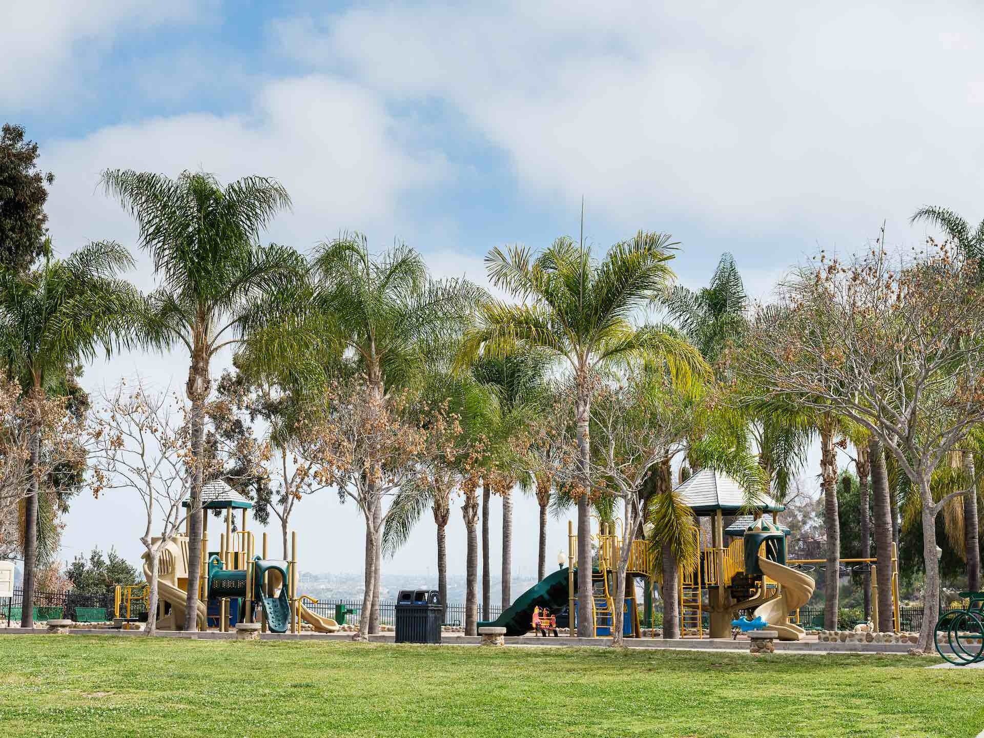 Row of palm trees on a playground adjacent to a grassy field