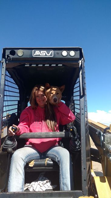 A person in a pink hoodie and jeans sits in the cab of an ASV skid steer, holding a stuffed bear near their shoulder.