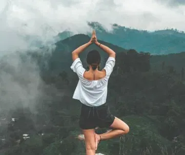 Wellness
