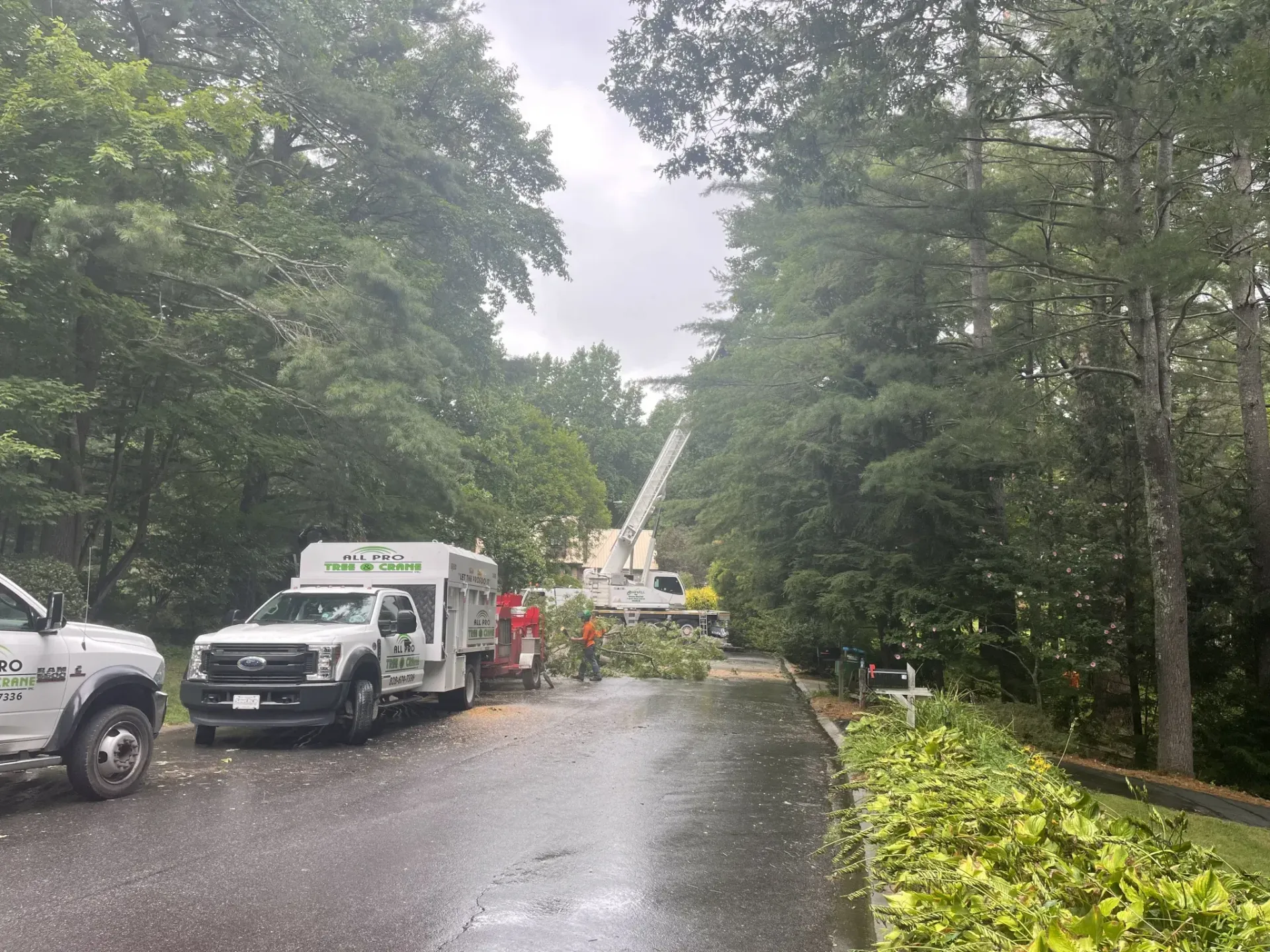 Vehicles Next to Forest — Hendersonville, NC — All Pro Tree & Crane