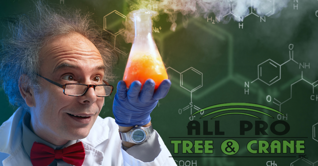 Scientist Holding Beaker with Orange Liquid in It — Hendersonville, NC — All Pro Tree & Crane