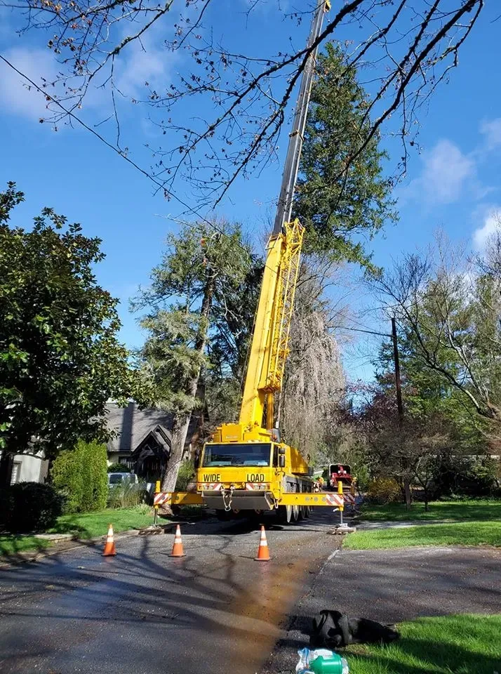 Crane on Road — Hendersonville, NC — All Pro Tree & Crane