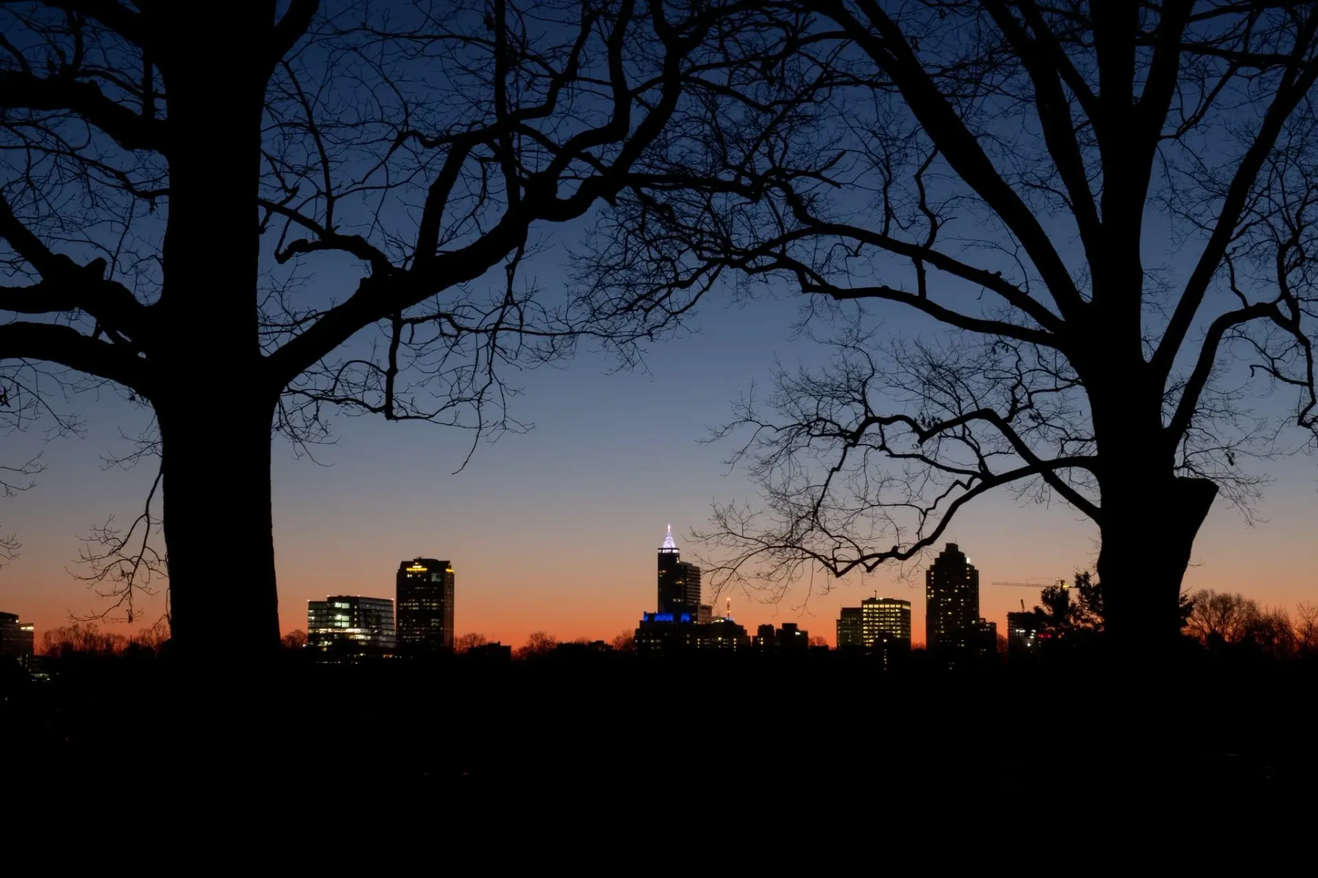 Silhouette of Trees and City — Hendersonville, NC — All Pro Tree & Crane