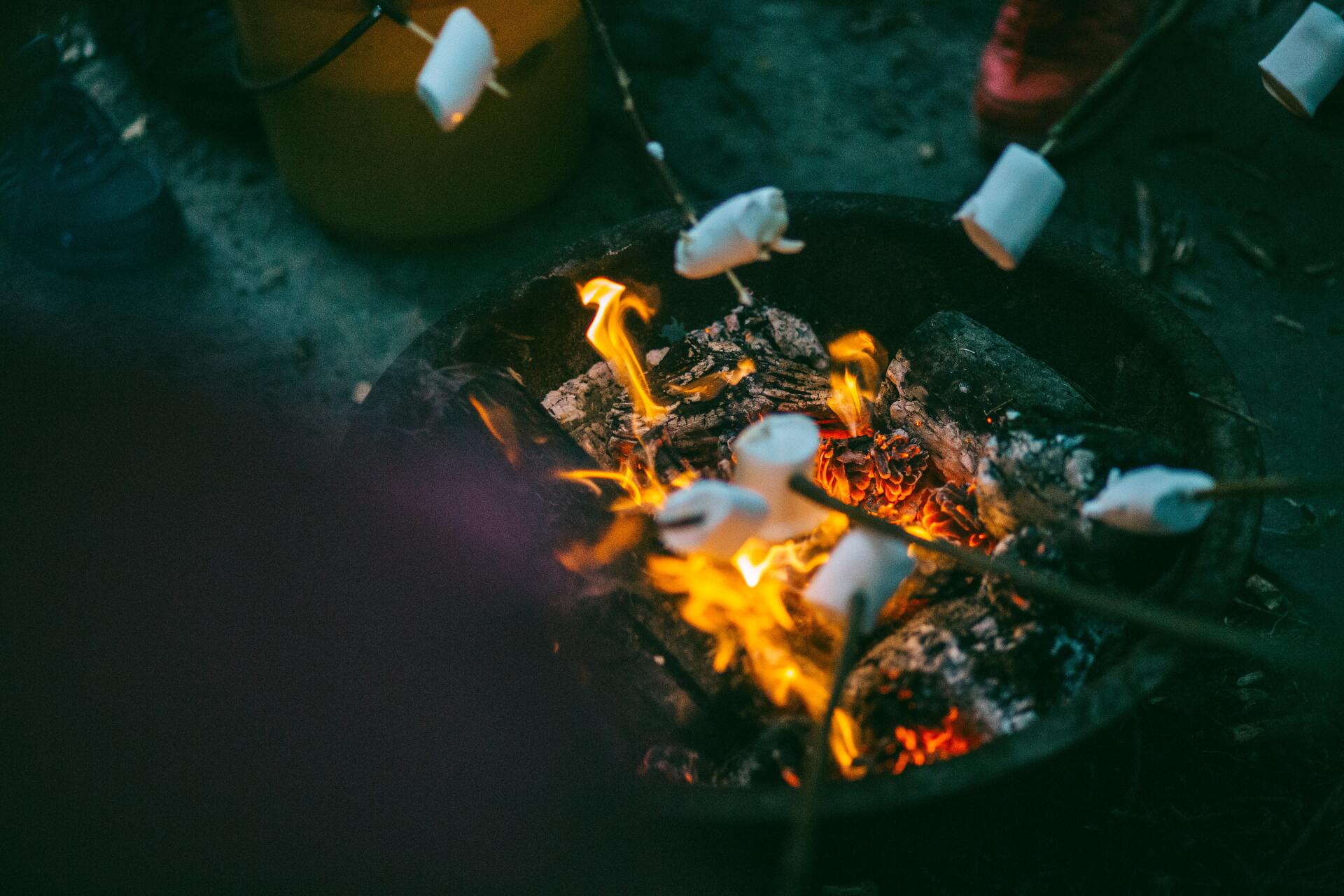 marshmallows over fire