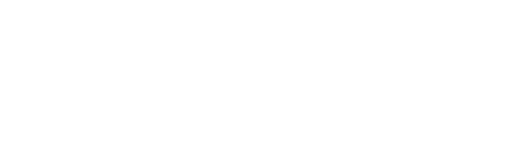 logo Lucy Fleurs