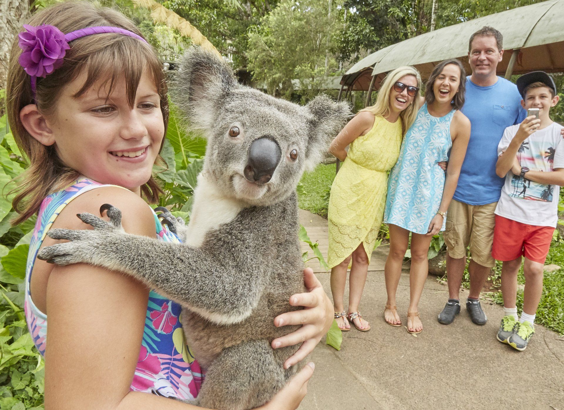 Aus family zoo koala