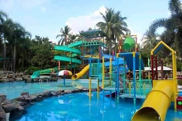 Water park with slides, pools, and palm trees under a blue sky.