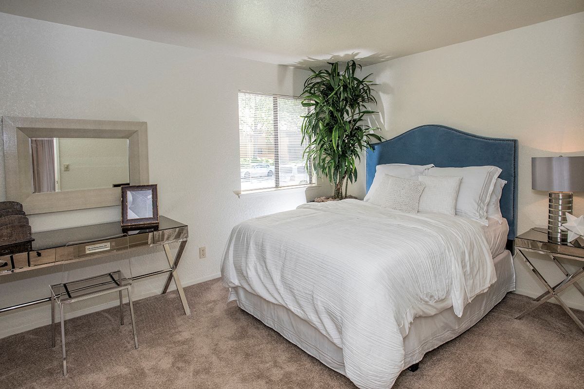 Bedroom with white bedding, blue upholstered headboard, mirrored dresser, and plant by the window.