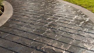 A black brick walkway with a grassy border