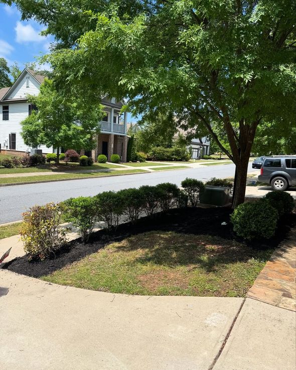 Lush green bushes and tree along a sidewalk, with dark mulch. Houses and a car visible in the background.