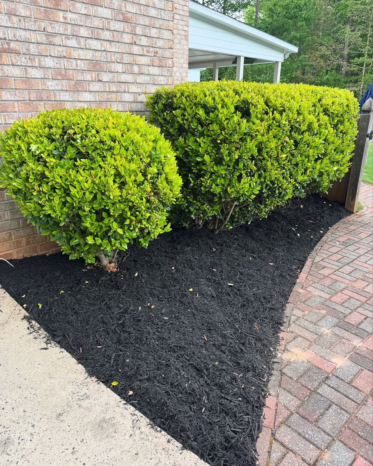 Green bushes with black mulch border a brick walkway next to a building.