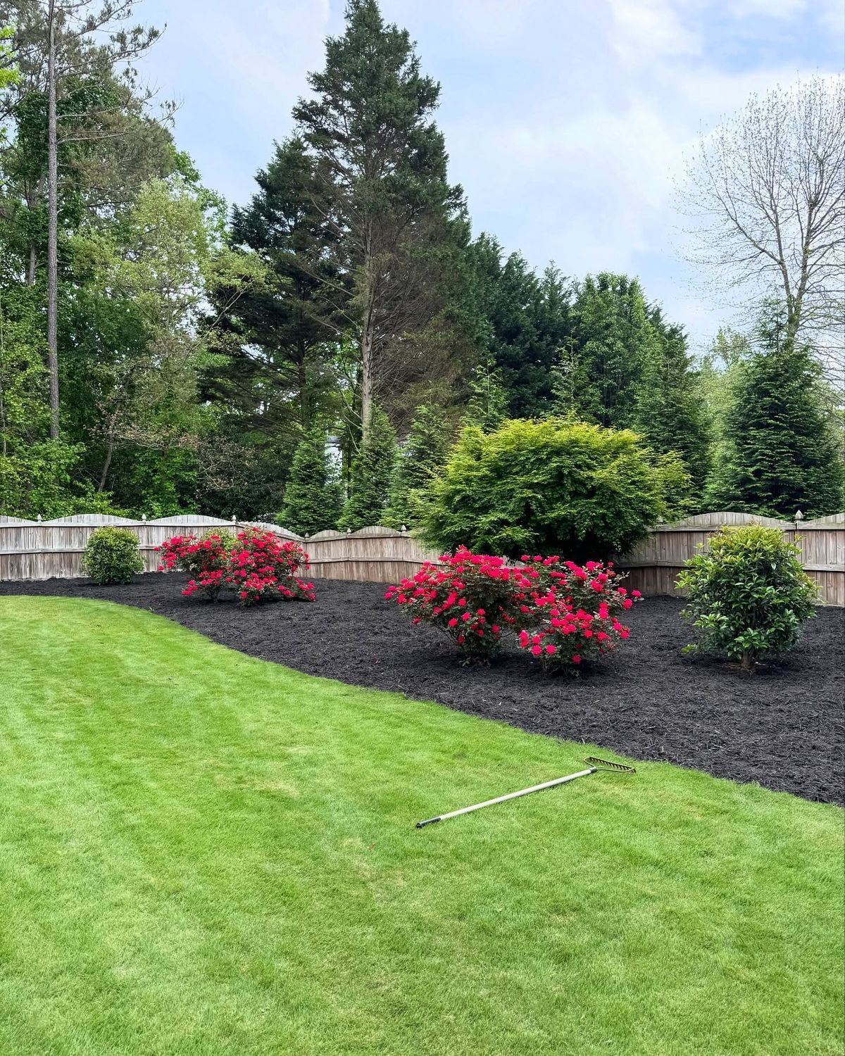 Lush green lawn with flower beds of red flowers and black mulch in front of a wooden fence and trees.