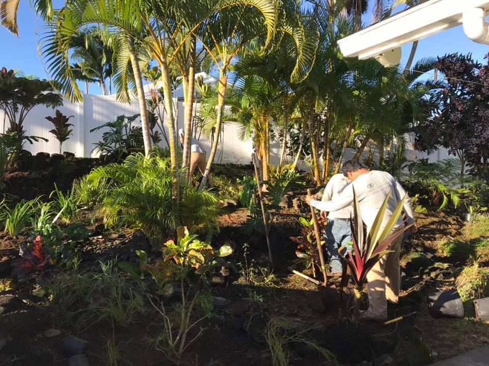 Landscape Maintenance