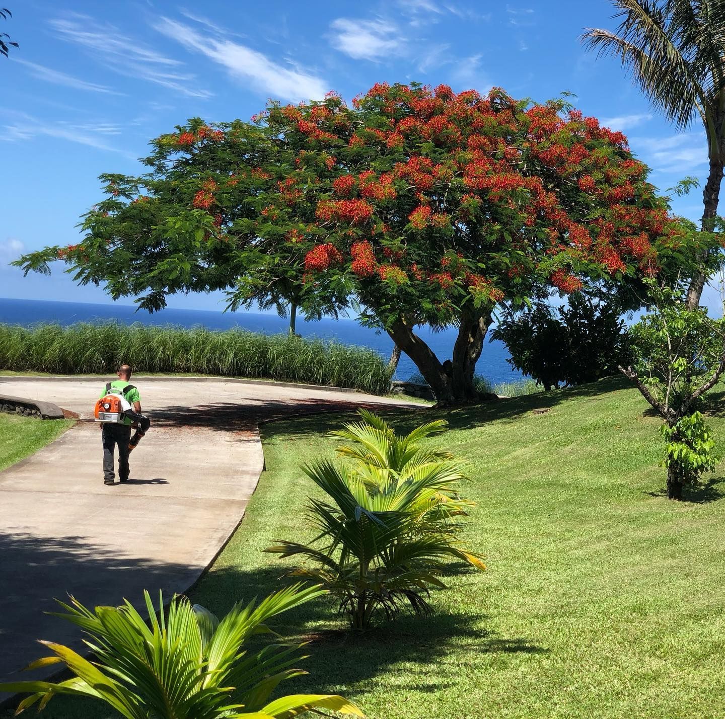 Landscape Maintenance