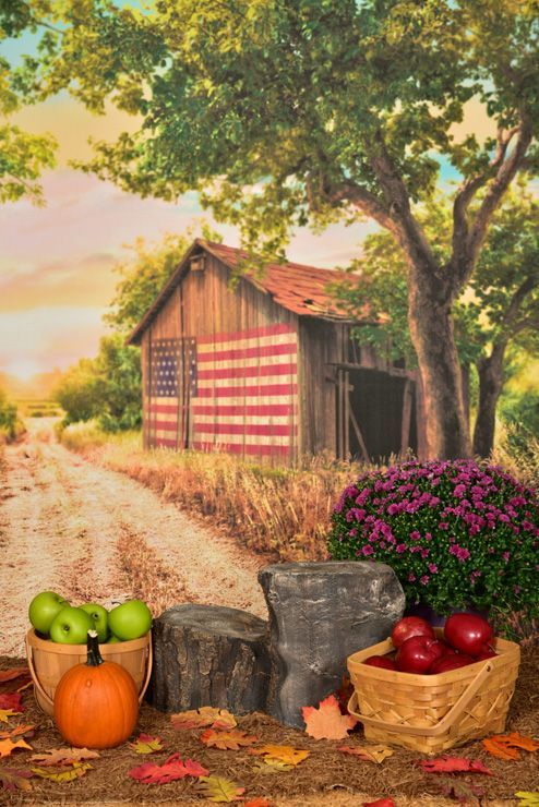 There is a barn with an american flag on it in the background.