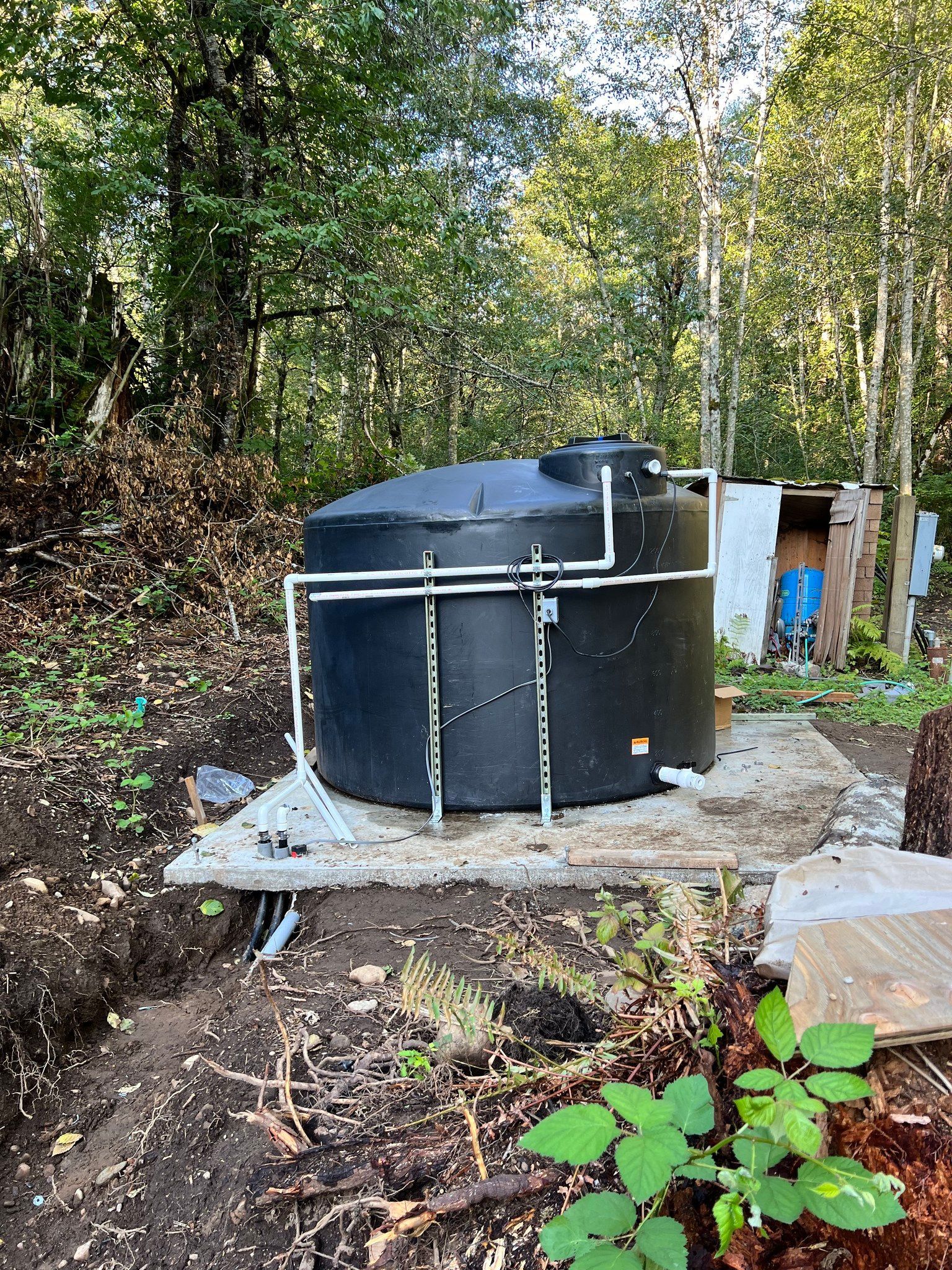 A large, black plastic water storage tank sits on a concrete pad in a wooded area with exposed white PVC plumbing pipes.