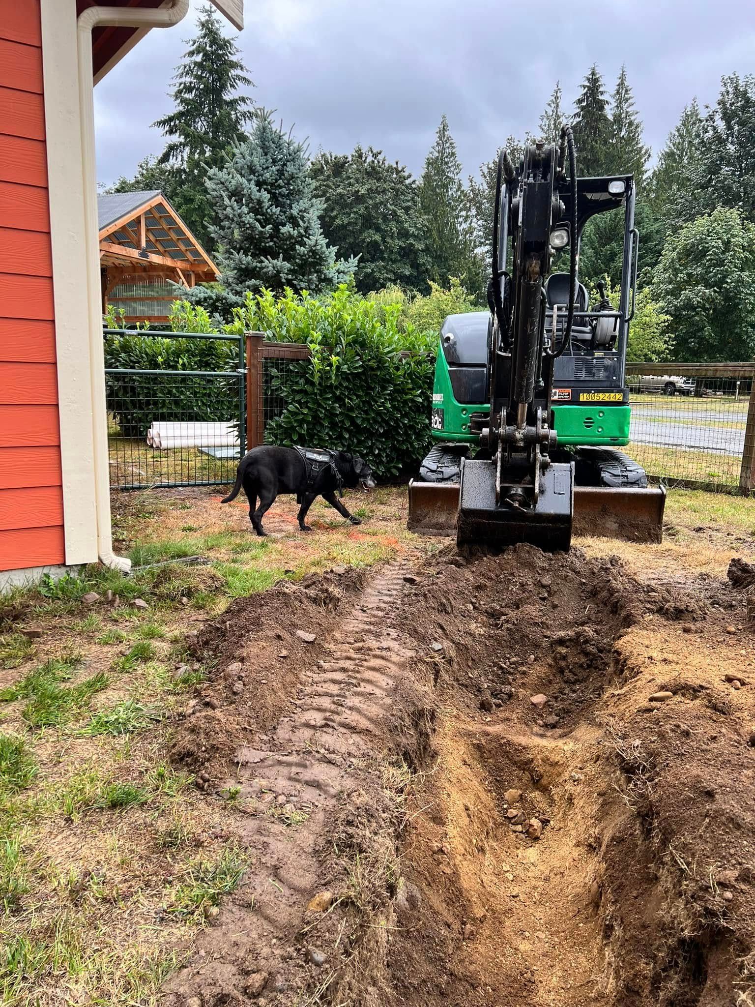 A green mini excavator digging a trench in a yard next to a red building while a black dog walks nearby.