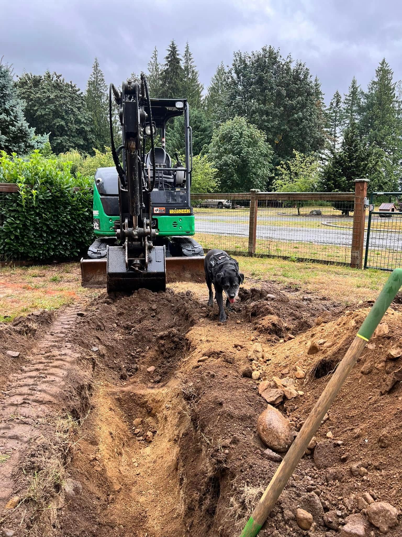 A green mini excavator digs a trench in a grassy yard while a black dog stands nearby.