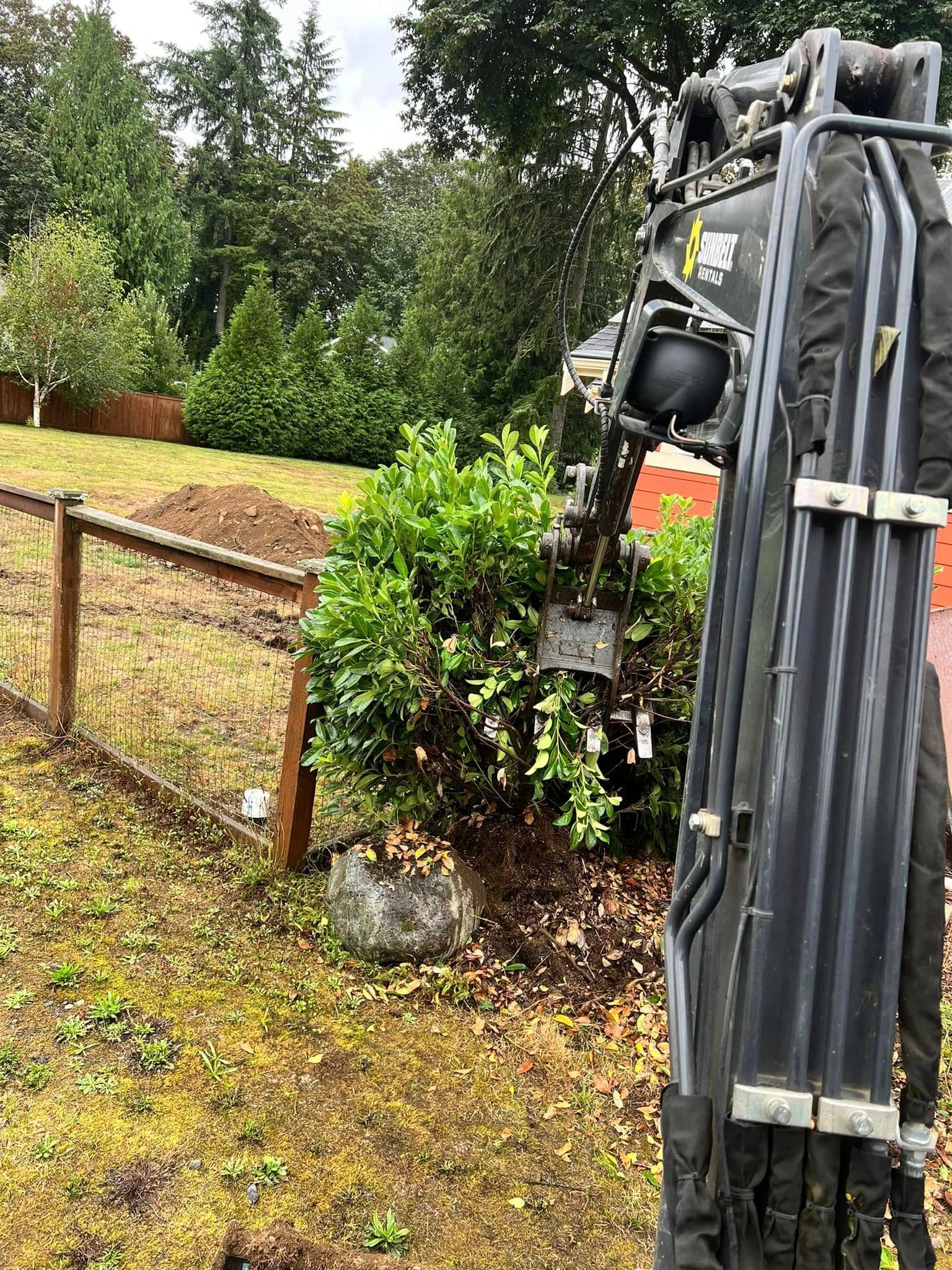 A close-up view of an excavator arm reaching over a wooden fence to clear a green shrub in a grassy backyard.