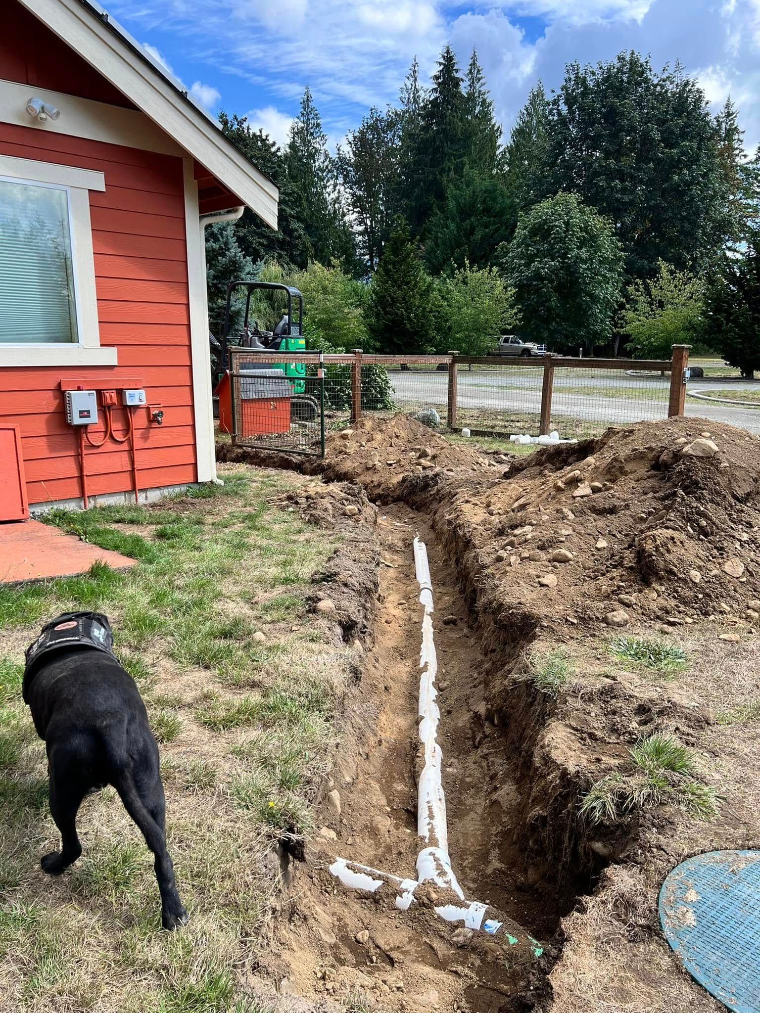 A black dog stands next to a white PVC pipe laid in a dug trench alongside a red house under a blue sky.